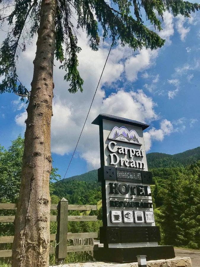 Chalet Carpat Dream Synevyr Exterior photo