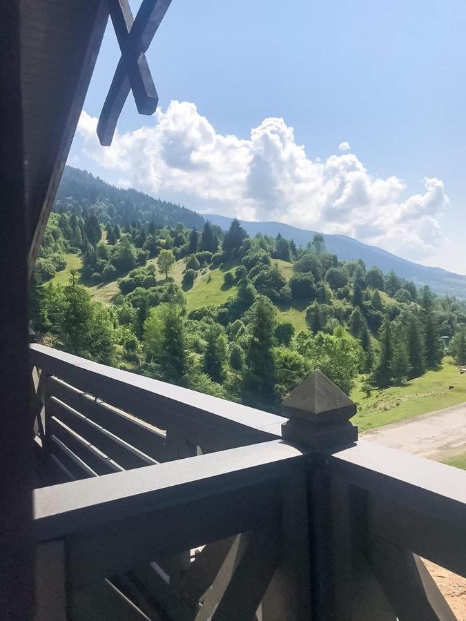 Chalet Carpat Dream Synevyr Exterior photo
