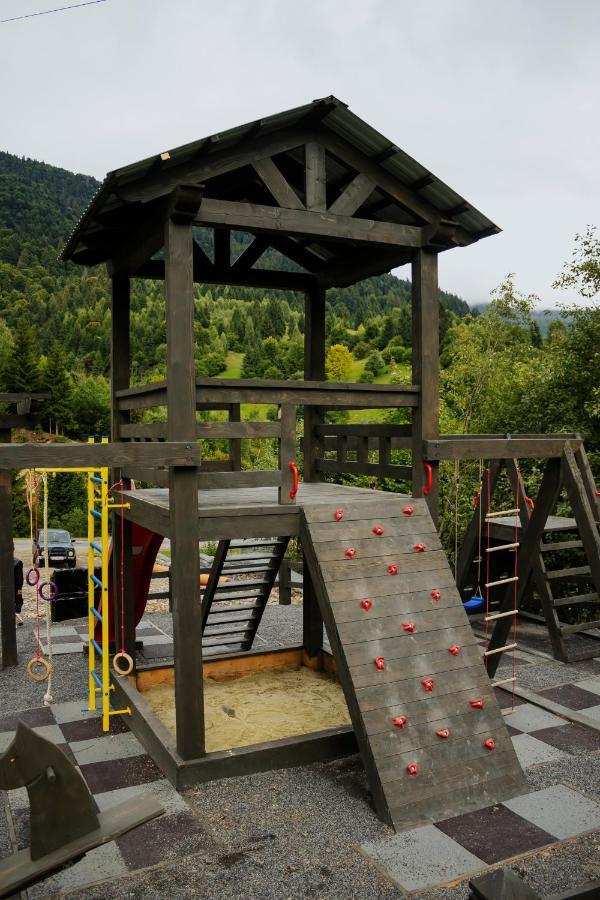 Chalet Carpat Dream Synevyr Exterior photo